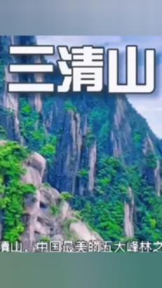 森林的奇迹