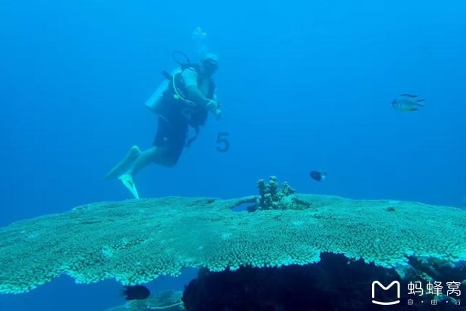 平安银行济南分行成功堵截一起电信网络诈骗