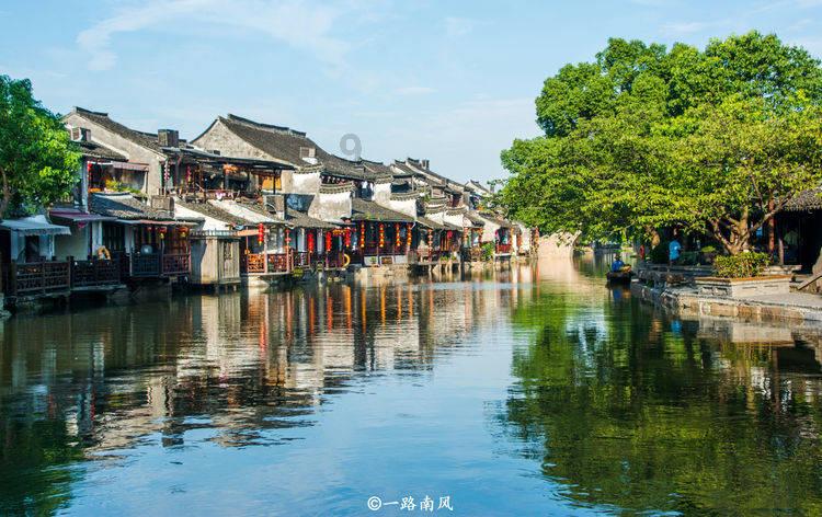 救援达尔马提亚狗