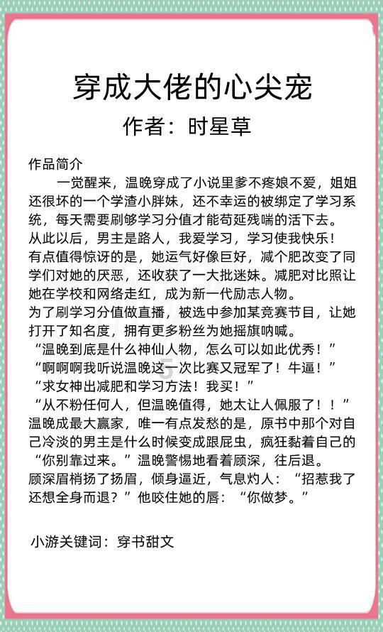 探探猫历险记2